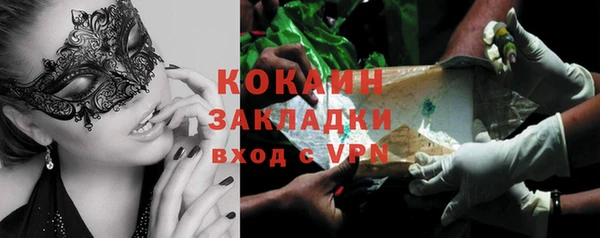 PSILOCYBIN Верхний Тагил