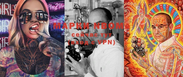 PSILOCYBIN Верхний Тагил