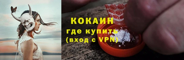 крисы Бородино