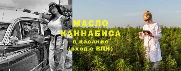 крисы Бородино