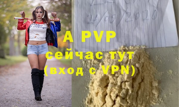 PSILOCYBIN Верхний Тагил